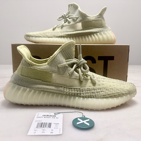 Adidas Yeezy Boost 350 V2 Antila Non-Reflective Size 13, Brand New w Box - Picture 1 of 9